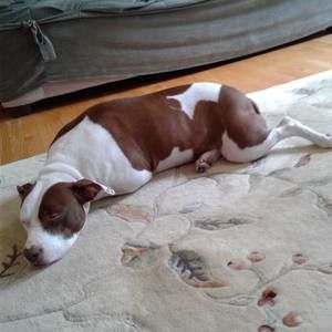 Meet your Posher, Elio